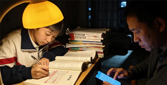 像查字典一样方便：随时可用的古诗文学习工具